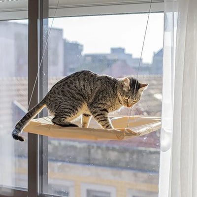 Cama Colgante De Ventana Para Gatos