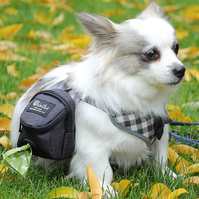 Bolso para mascotas